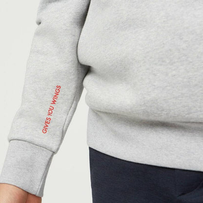 Red Bull F1 Hooded Gray Sweatshirt